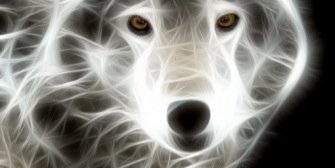Alibran123's profile banner image