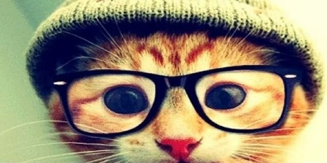 mathfreitas1's profile banner image