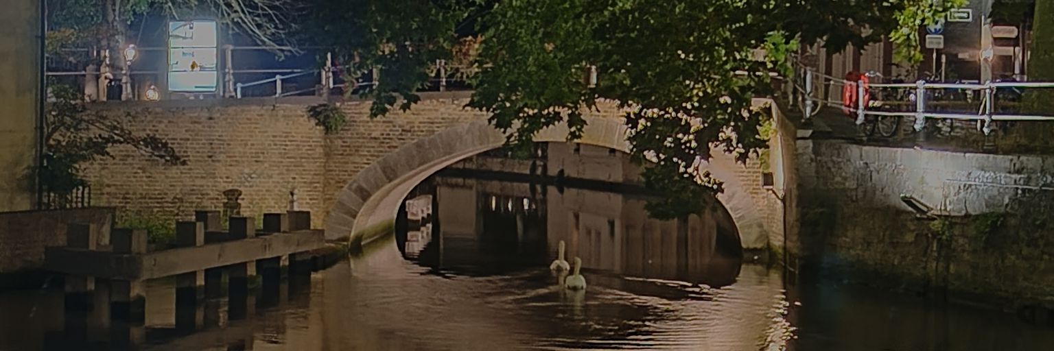 Jimmy sin weed banner