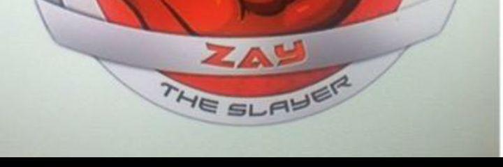Almighty Zay banner
