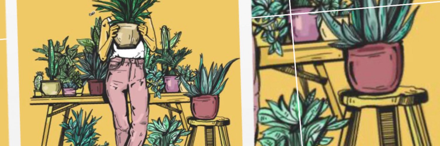_veranoeterno's profile banner image