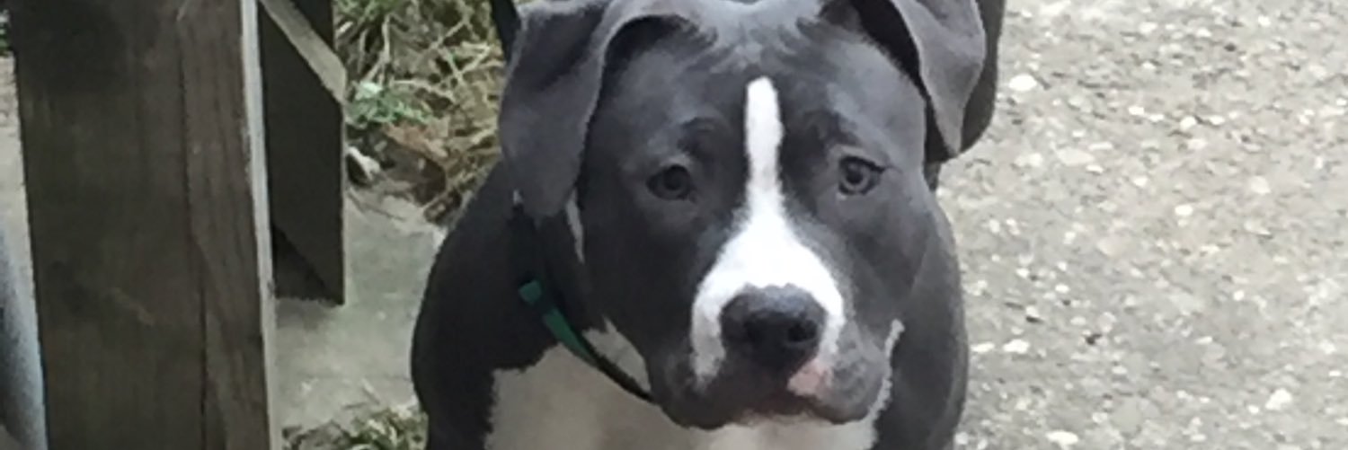 TruCowboyGee's profile banner image