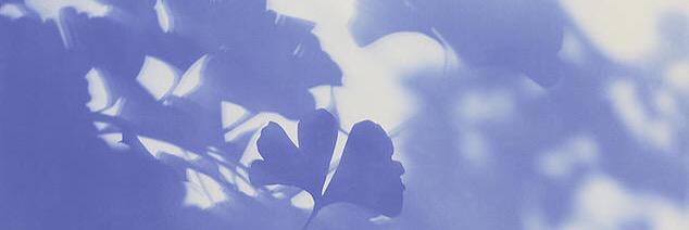 britttlowe's profile banner image