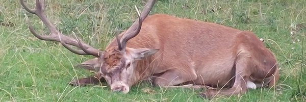 kenflewitt Profile Banner
