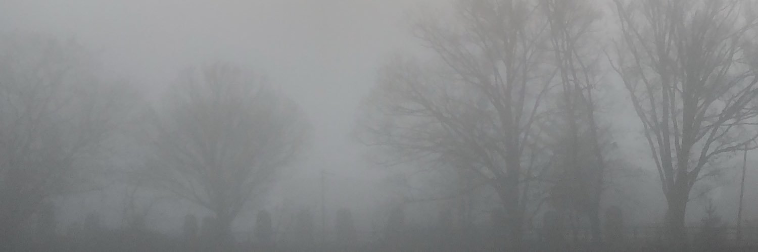 mk_angle_8's profile banner image
