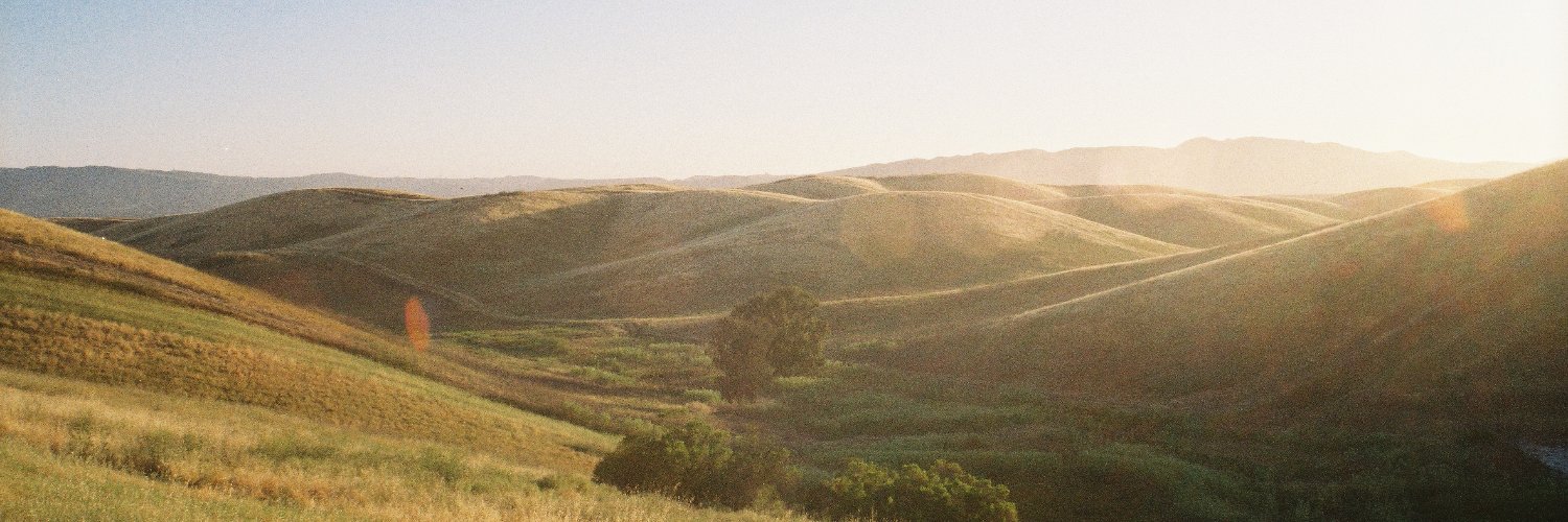 flea925's profile banner image