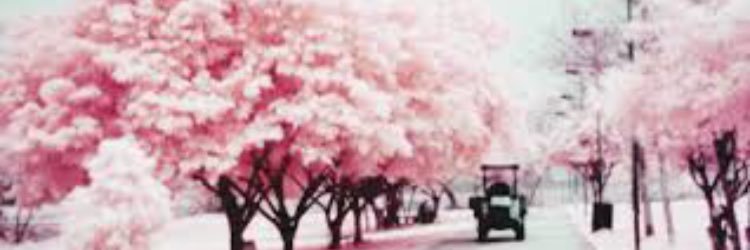 xogloww's profile banner image