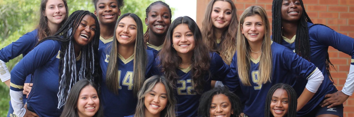 DHSVolleyball banner