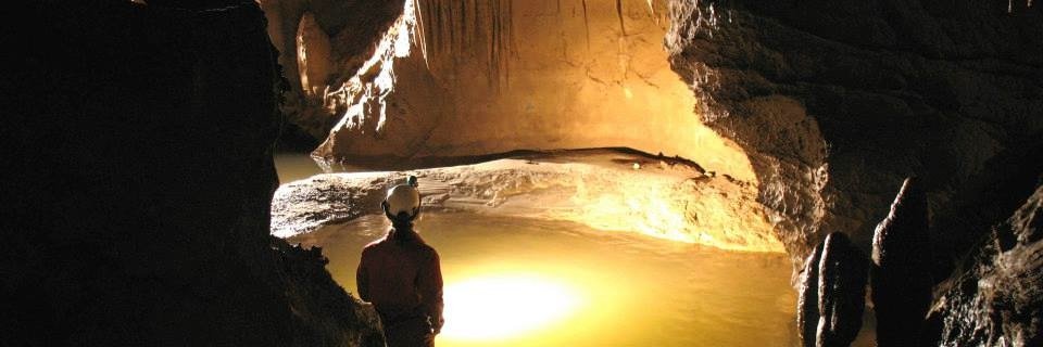 Maria A. Perez banner