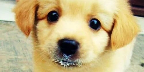 iamMONedward's profile banner image