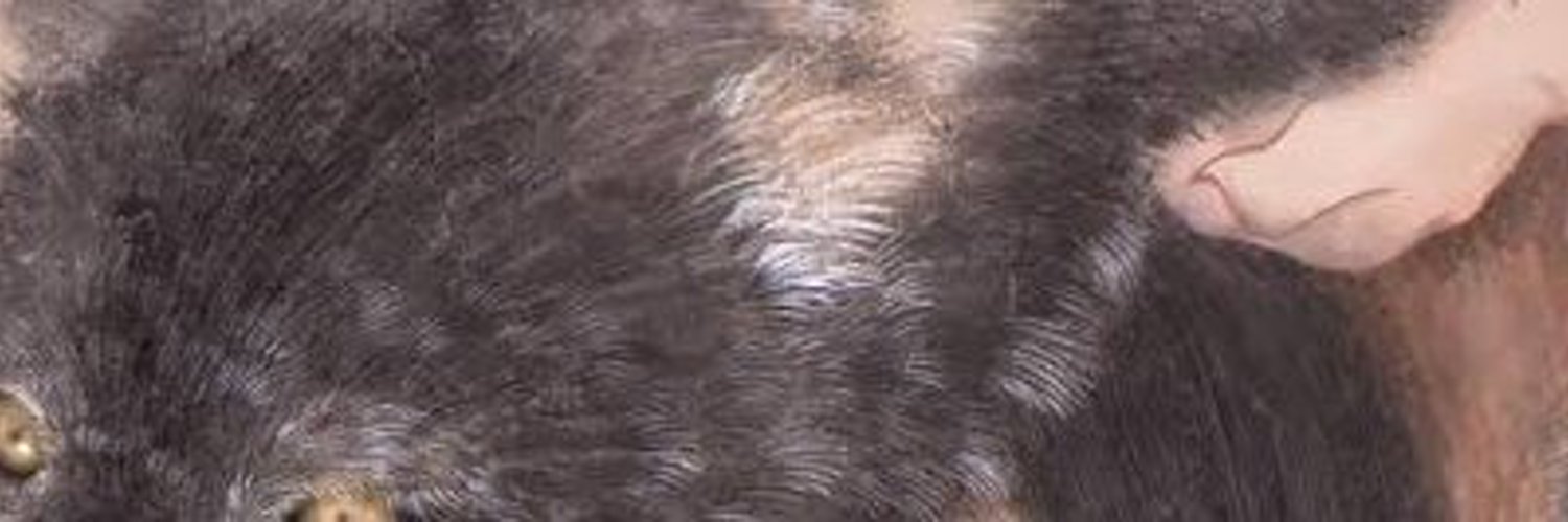 maodunti09__'s profile banner image