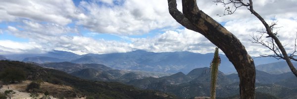 terylnuckols Profile Banner