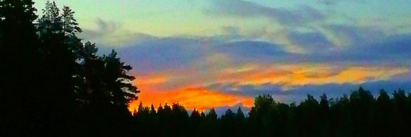 ElseKruskopf Profile Banner