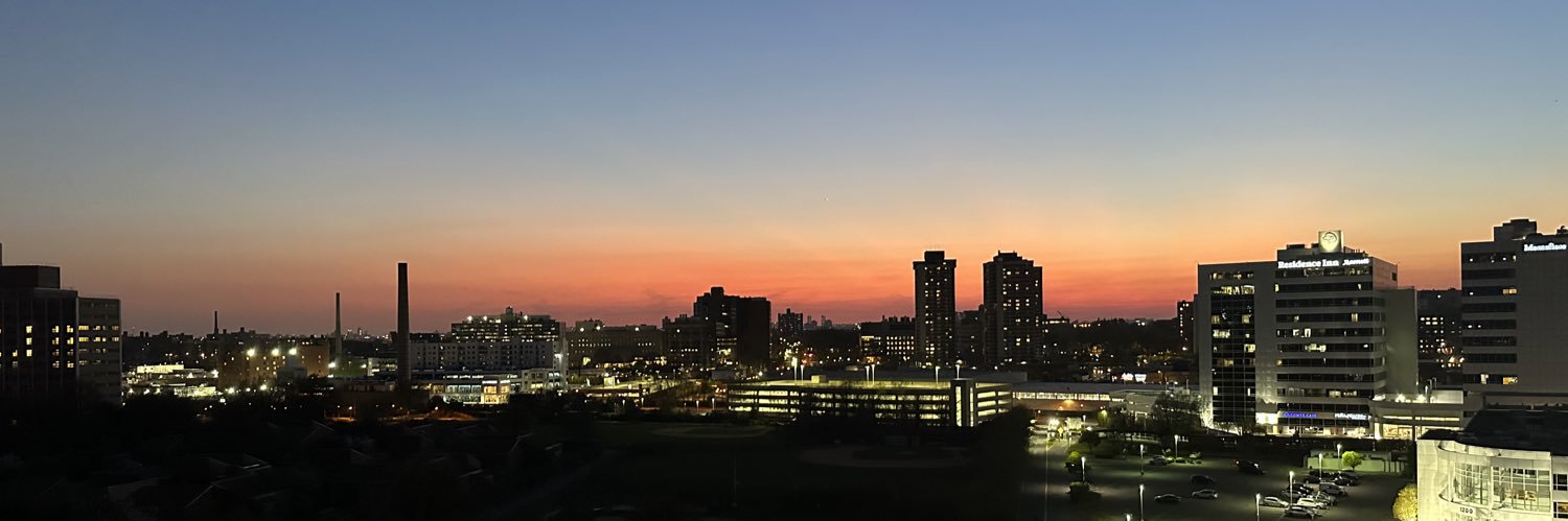 theamandalobos's profile banner image