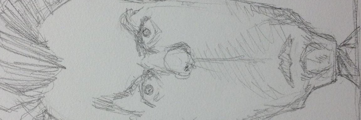 Bruce MacKinnon banner