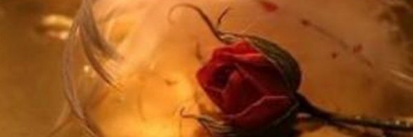 DeeDeeDiamond7 Profile Banner