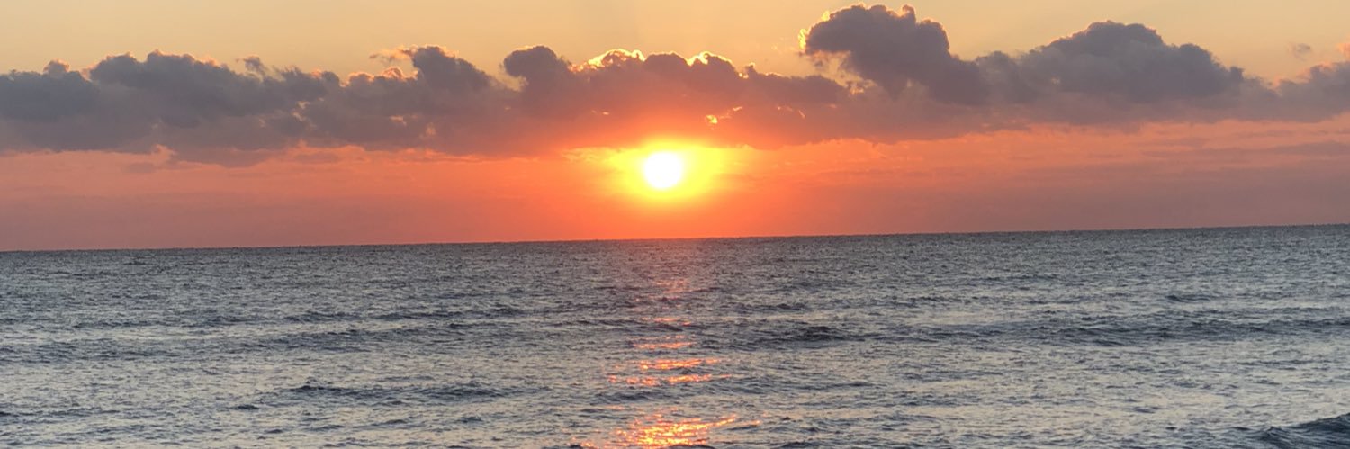 Melissa_Scopa's profile banner image