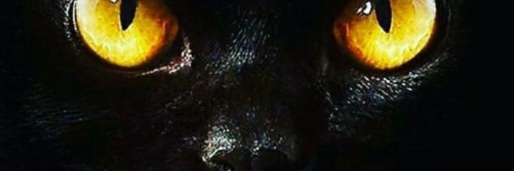 marceloteodor20's profile banner image
