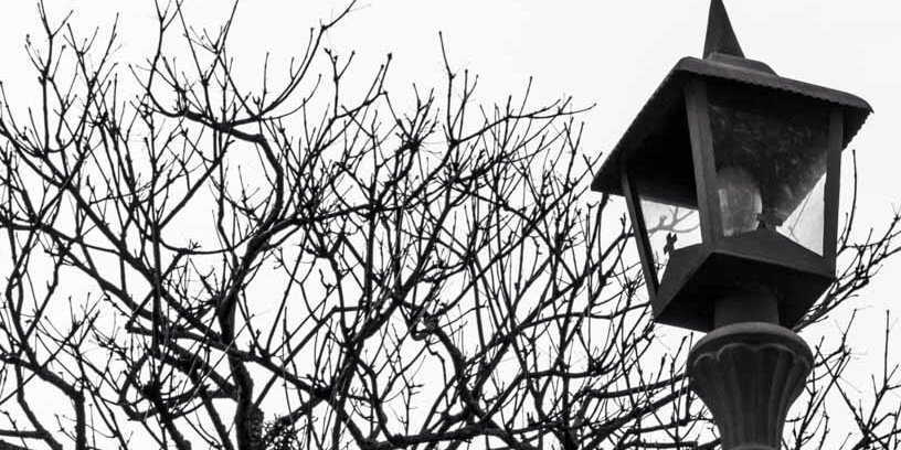 VIPPhotoClick's profile banner image