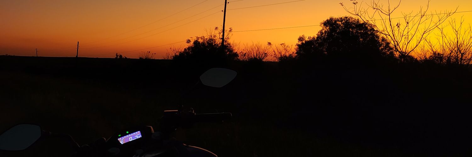 Nicolas Alaniz banner