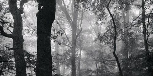 JadeRPGSSM's profile banner image