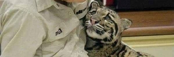 𝗣 𓆪 ✷ banner