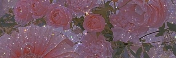 heyyllievaleryy's profile banner image