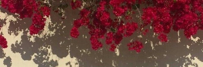 Cecimorenof's profile banner image