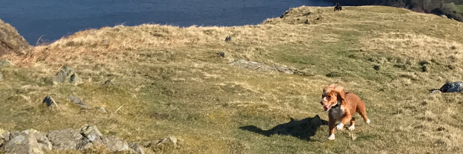 markmccready's profile banner image