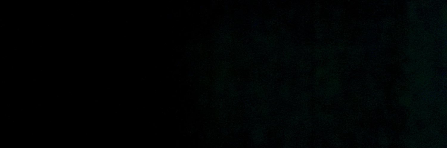 brooklynalece_'s profile banner image