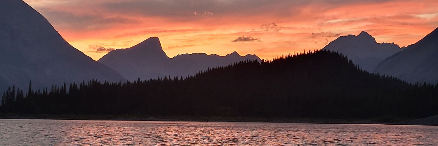 martinafaria's profile banner image