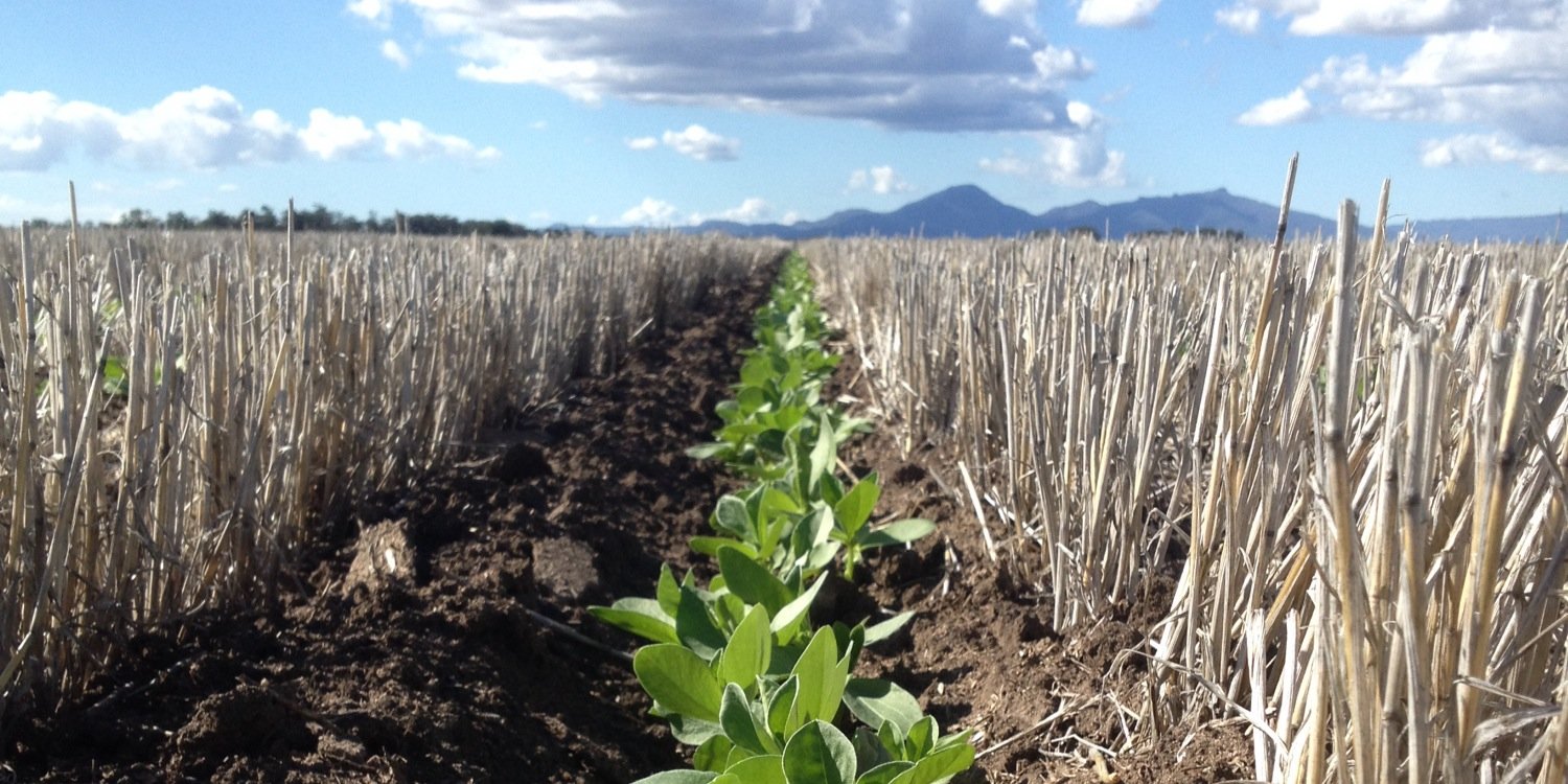 Drew Penberthy banner