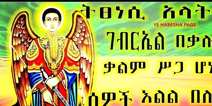 0508667669's profile banner image