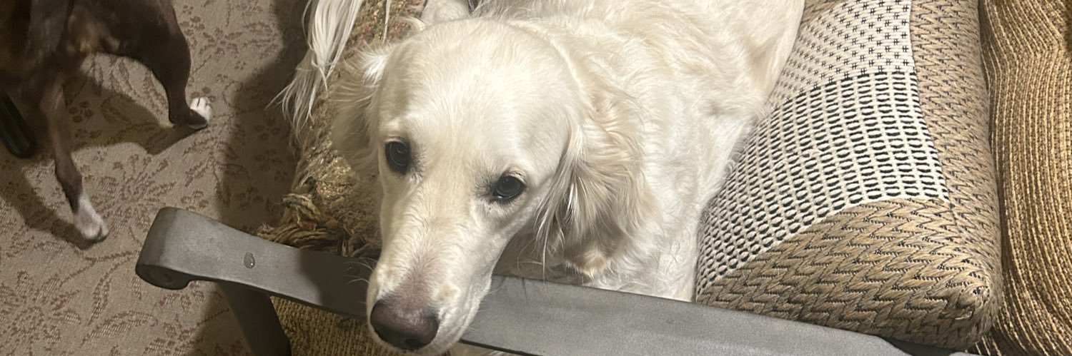 Max Middendorf banner