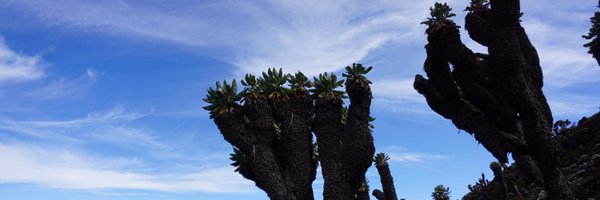 pramanca Profile Banner