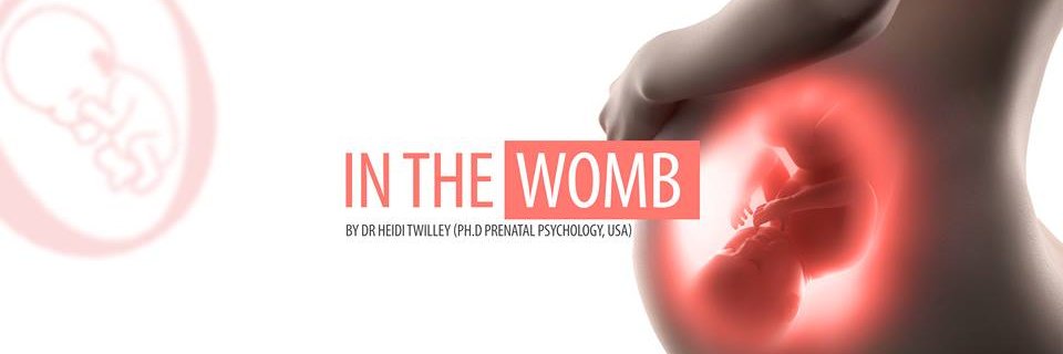 InTheWombPTYLTD's profile banner image