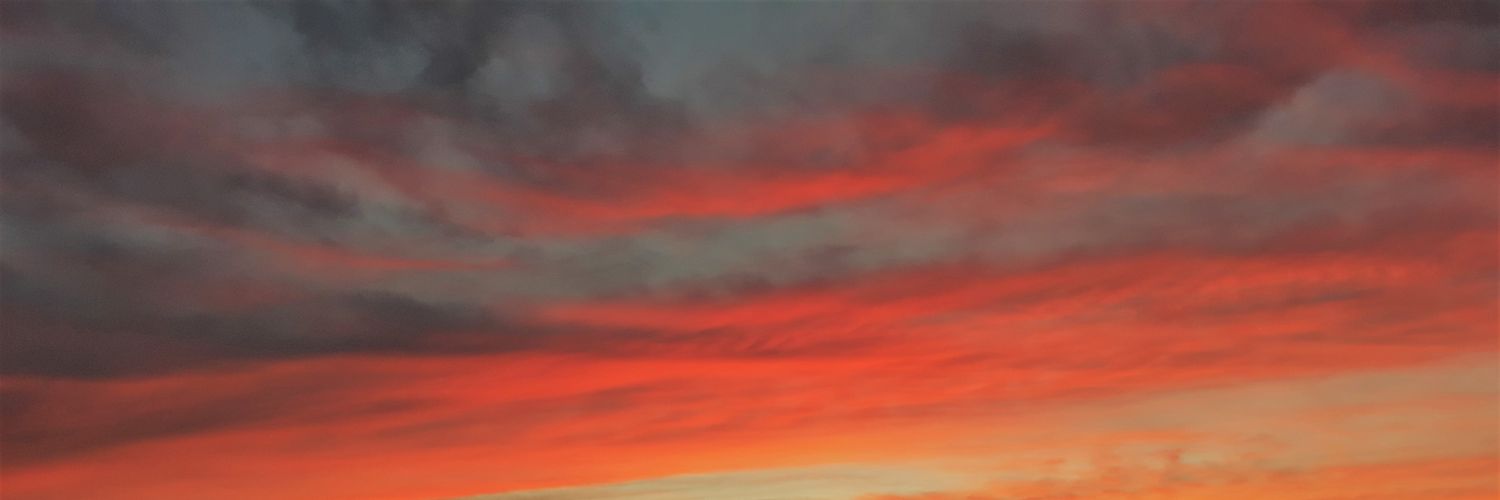 Leaa51's profile banner image