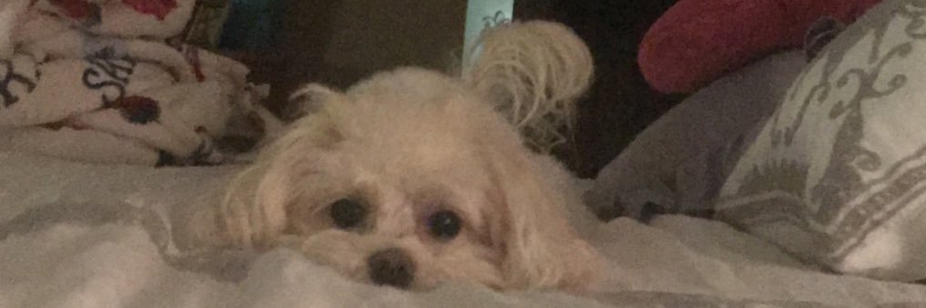 mdfgfafkf's profile banner image