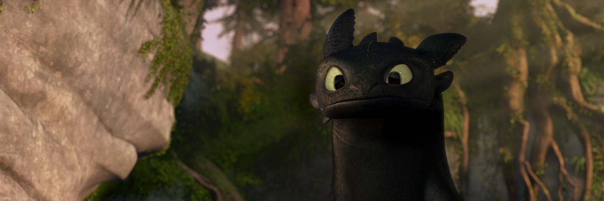 redditHTTYD's profile banner image
