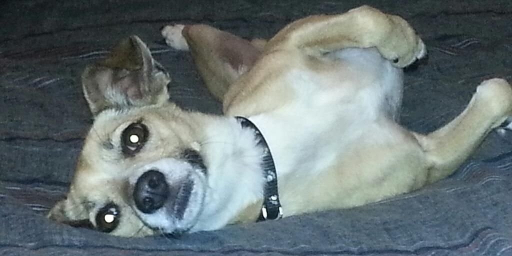 Ivan Martinez banner