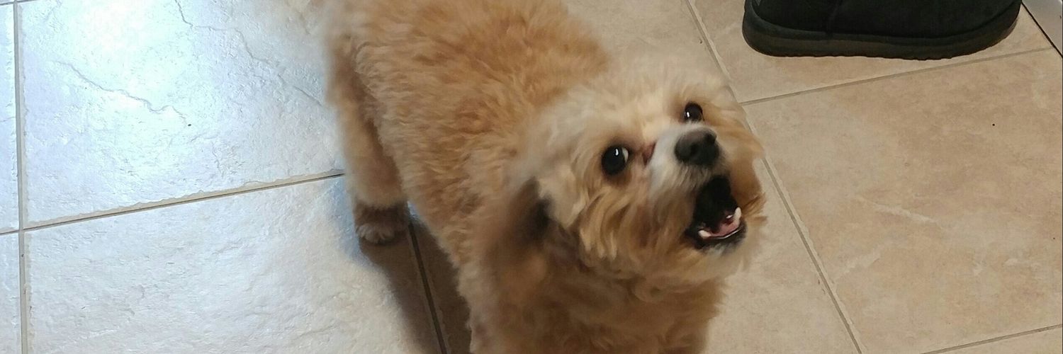 Hes_gotmyback's profile banner image