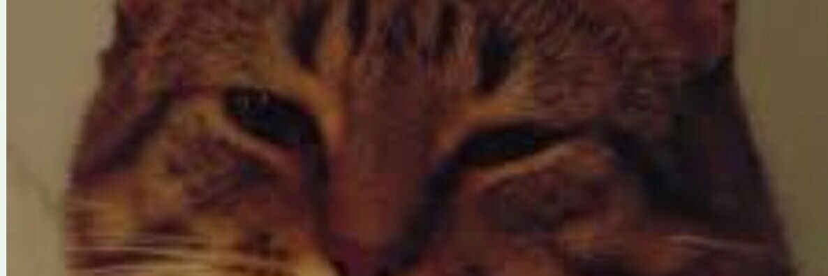 😼machete_grande banner