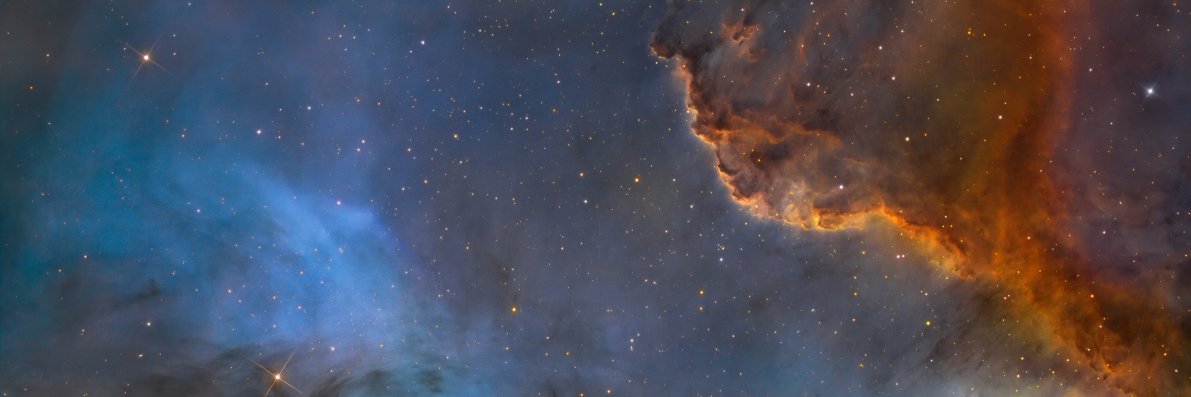 drnerdius's profile banner image