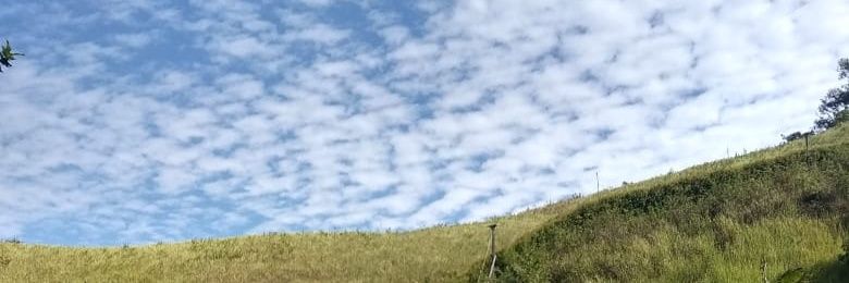 - oneday - banner