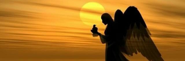 Pictures of Churches banner