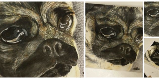 allthingsdoggy's profile banner image