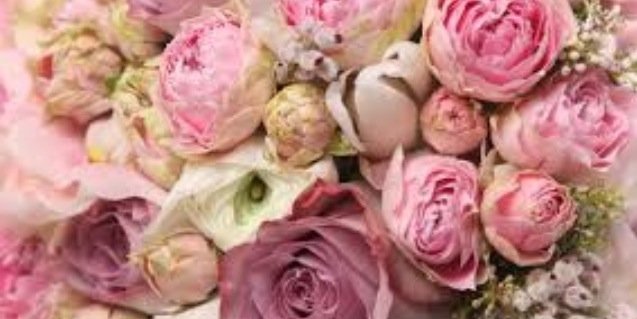 BoothysAbode's profile banner image