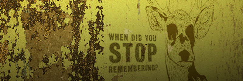 The Bundesliga Expert banner