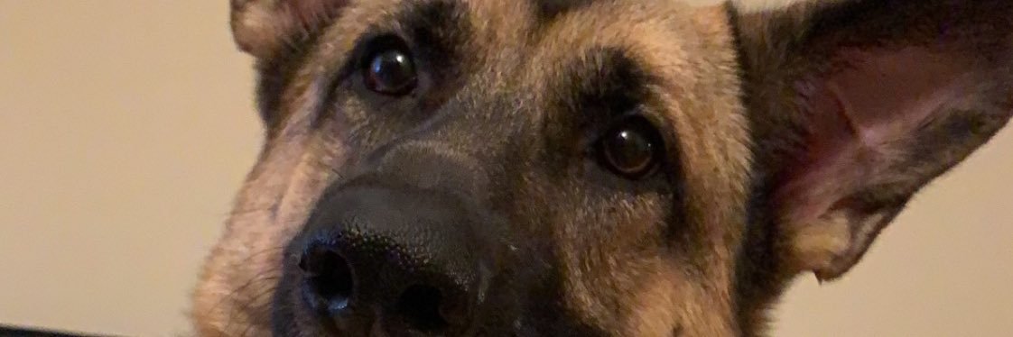 _morgz__'s profile banner image