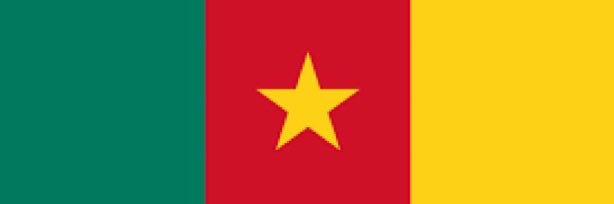 #Cabral2025_🇨🇲's banner